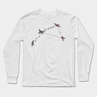 Antlia (Air Pump) Constellation Roses and Hearts Doodle Long Sleeve T-Shirt